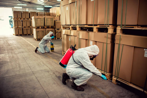 Best Cockroach Control Services  in Citrus Springs, FL