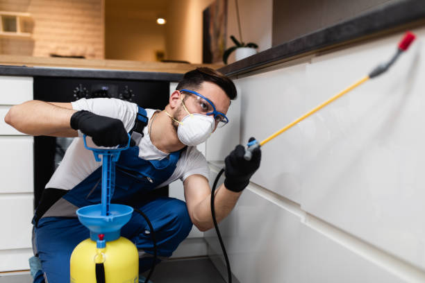 Best Pest Inspection Near Me  in Citrus Springs, FL