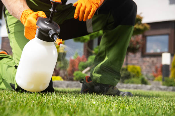 Best Affordable Pest Control Services  in Citrus Springs, FL