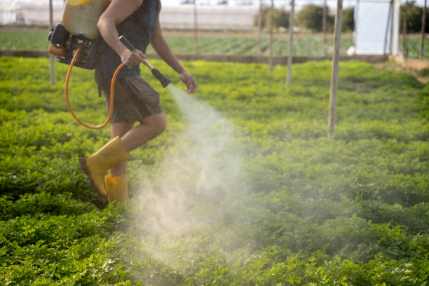 Best Best Pest Control Companies  in Citrus Springs, FL