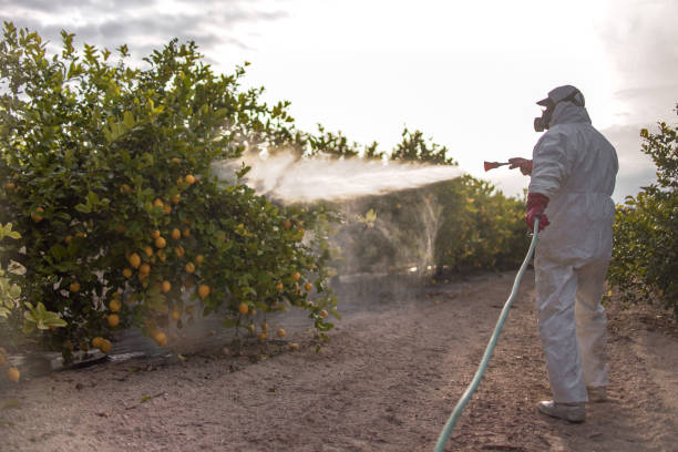 Best Pest Control for Restaurants  in Citrus Springs, FL