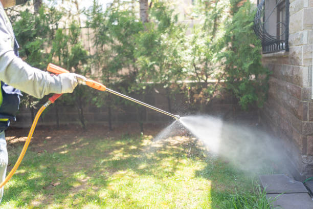 Best Flea Control Services  in Citrus Springs, FL
