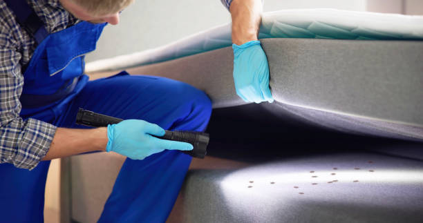 Best Mosquito Control Services  in Citrus Springs, FL