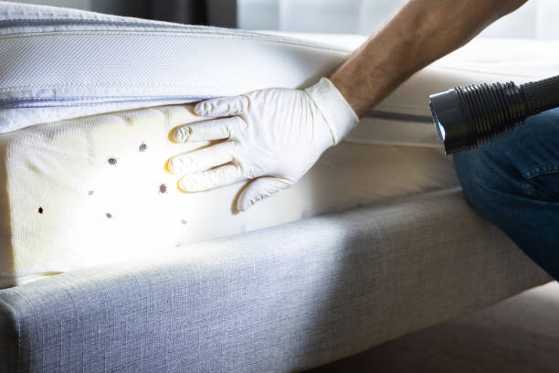 Best Bed Bug Extermination  in Citrus Springs, FL