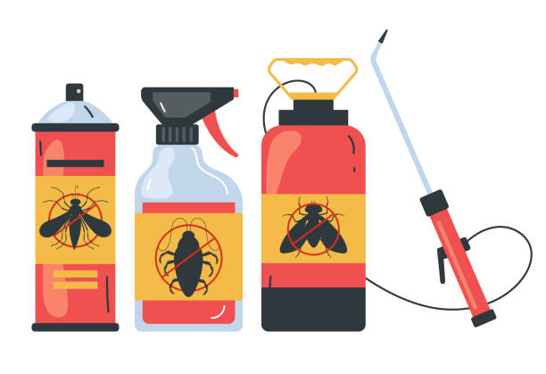 Best Ant Control Services  in Citrus Springs, FL