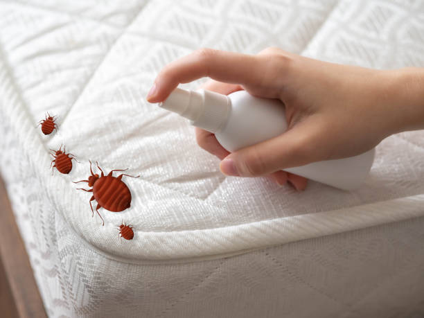 Best Best Pest Control Companies  in Citrus Springs, FL