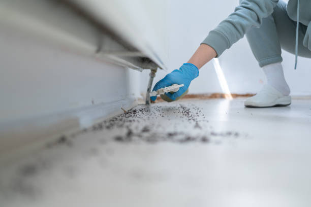 Best Affordable Pest Control Services  in Citrus Springs, FL