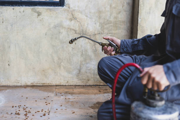 Pest Control Cost in Citrus Springs, FL